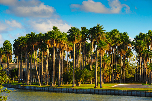 Brownsville