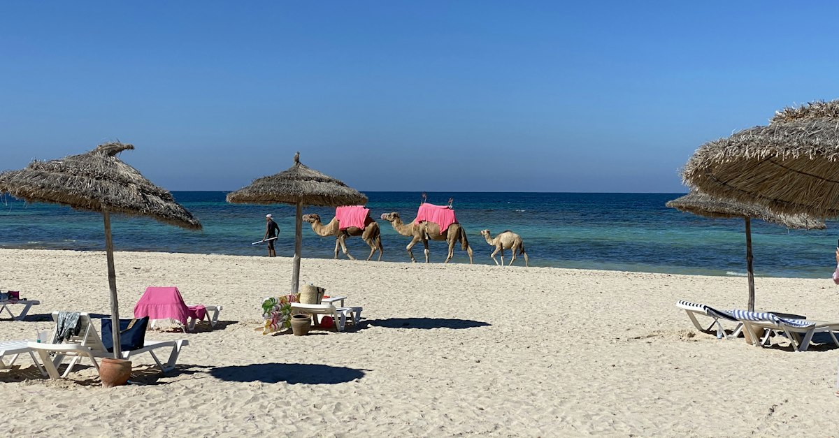 Djerba