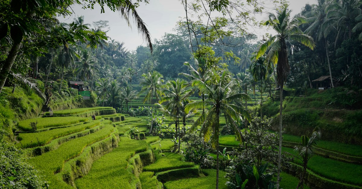Bali