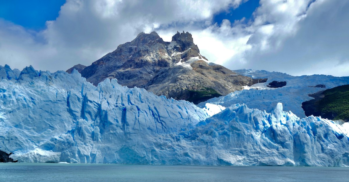 Calafate