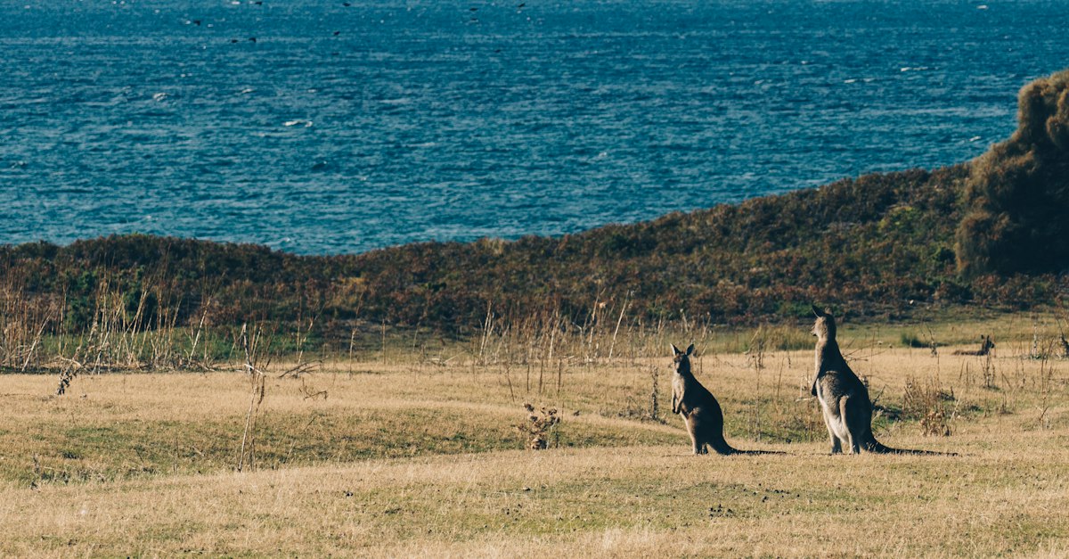Tasmania