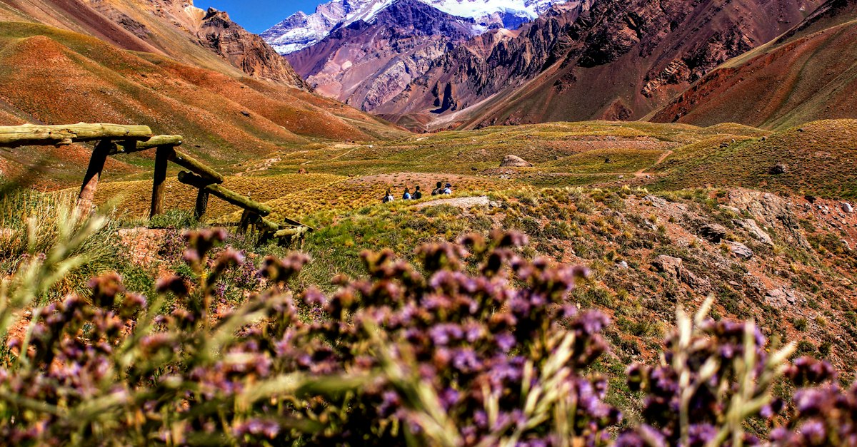 Mendoza
