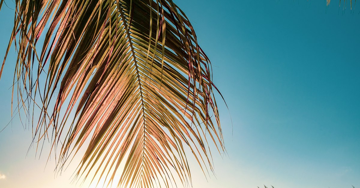 Turks and Caicos