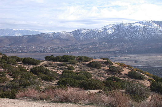 Palmdale
